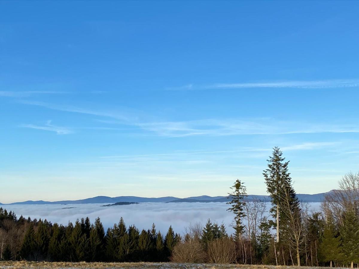 Mitten Im Bayerischen Wald-95M² Wohnung + *Netflix* Direkt Am Skilift! Schöfweg Exteriér fotografie